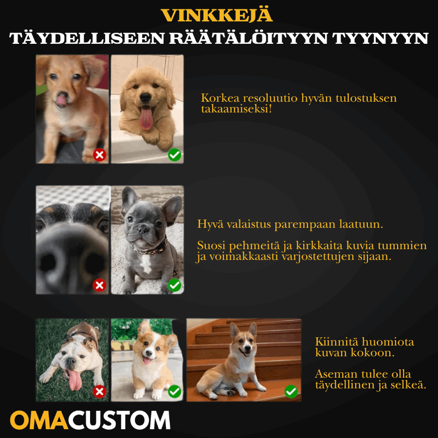 Räätälöity 3D-lemmikkityyny - Pehmolelu - Henkilökohtaisesti muotoiltu tyyny